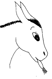 Rosie 10