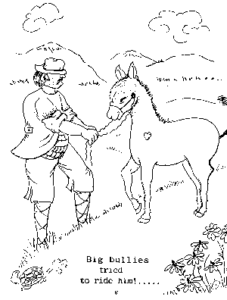 donkey 7