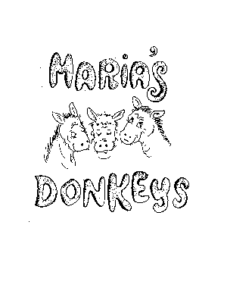 donkeys 1