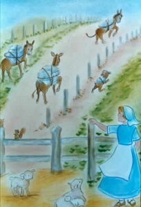Donkeys
